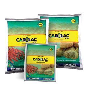 CADILAC 80 WP